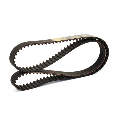 Timing Belt RIDEX 306T0100P 306T0100P - photo 6