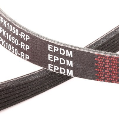 V-Ribbed Belt RIDEX 305P0055P 305P0055P - photo 5