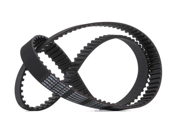 Timing Belt RIDEX 306T0113 306T0113 - photo 1