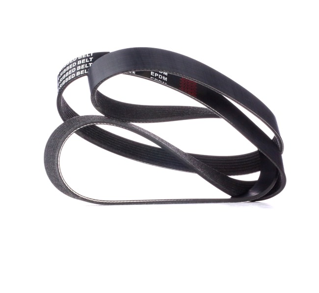 V-Ribbed Belt RIDEX 305P0416 305P0416 - photo 1