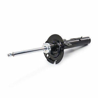Shock Absorber RIDEX 854S17941 854S17941 - photo 4