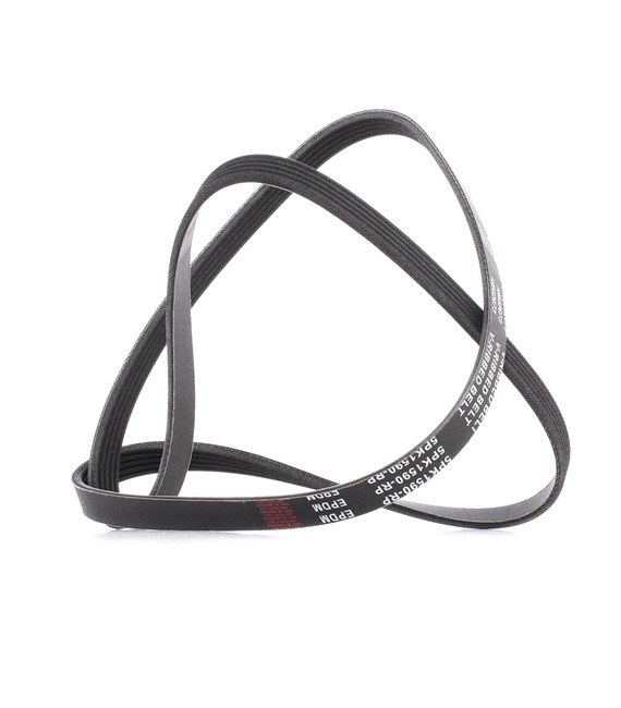 V-Ribbed Belt RIDEX 305P0042P 305P0042P - photo 1
