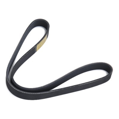 V-Ribbed Belt RIDEX 305P0494 305P0494 - photo 3
