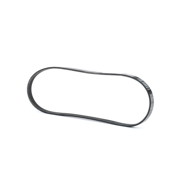 V-Ribbed Belt RIDEX 305P0017 305P0017 - photo 1