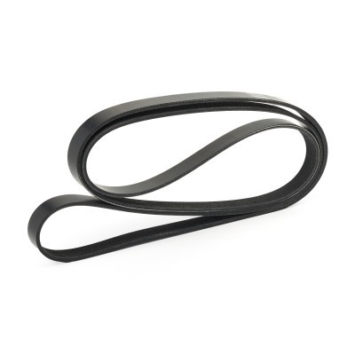 V-Ribbed Belt RIDEX 305P0531 305P0531 - photo 3