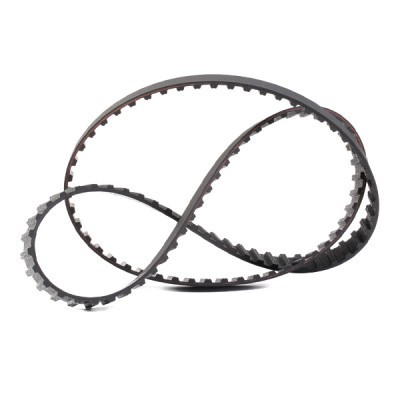 Timing Belt RIDEX 306T0193 306T0193 - photo 3
