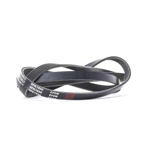 V-Ribbed Belt RIDEX 305P0366 305P0366 - photo 1