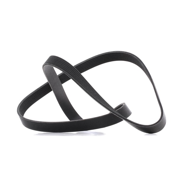 V-Ribbed Belt RIDEX 305P0237P 305P0237P - photo 1