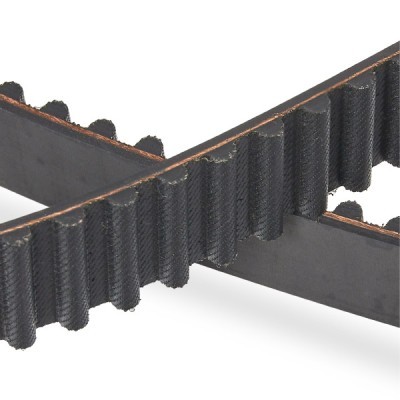 Timing Belt RIDEX 306T0004P 306T0004P - photo 5