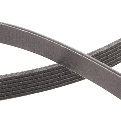 V-Ribbed Belt RIDEX 305P0531P 305P0531P - photo 5