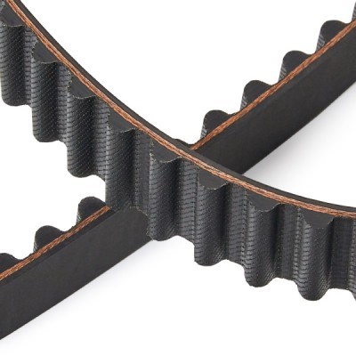 Timing Belt RIDEX 306T0250P 306T0250P - photo 5