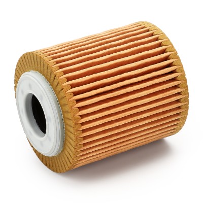 Oil Filter RIDEX 7O0246 7O0246 - photo 9