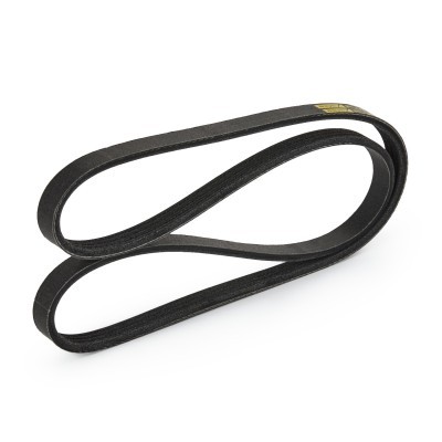 V-Ribbed Belt RIDEX 305P0202P 305P0202P - photo 3