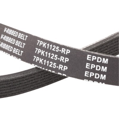 V-Ribbed Belt RIDEX 305P0129P 305P0129P - photo 5