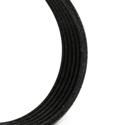 V-Ribbed Belt RIDEX 305P0169P 305P0169P - photo 5