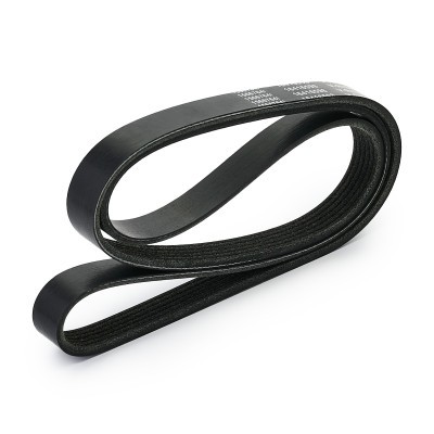 V-Ribbed Belt RIDEX 305P0519 305P0519 - photo 3