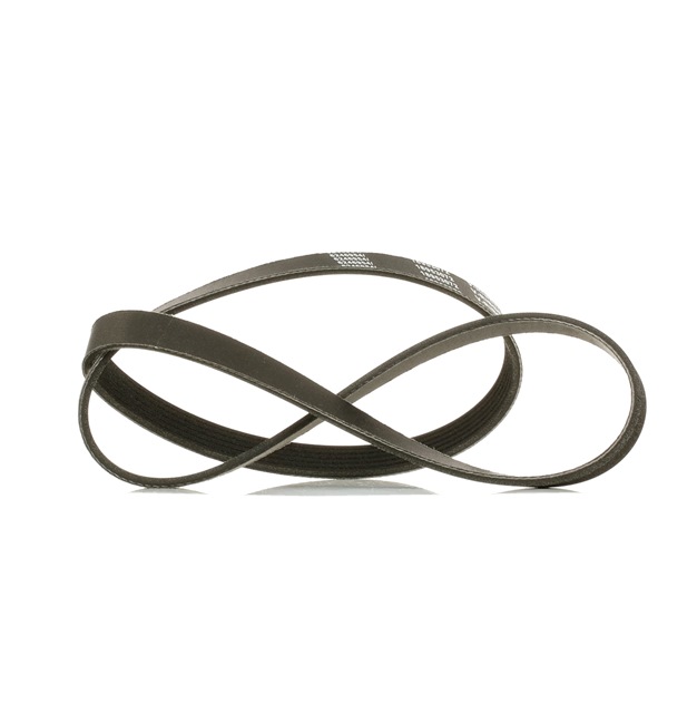 V-Ribbed Belt RIDEX 305P0289P 305P0289P - photo 1