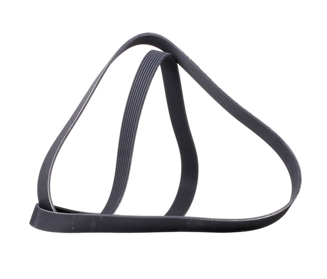 V-Ribbed Belt RIDEX 305P0352 305P0352 - photo 1