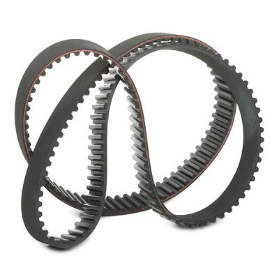 Timing Belt RIDEX 306T0167 306T0167 - photo 3