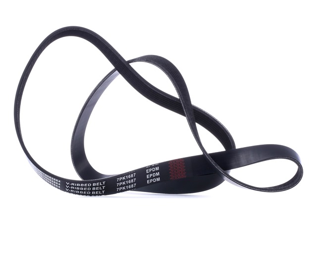 V-Ribbed Belt RIDEX 305P0408 305P0408 - photo 1