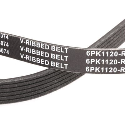 V-Ribbed Belt RIDEX 305P0542P 305P0542P - photo 5
