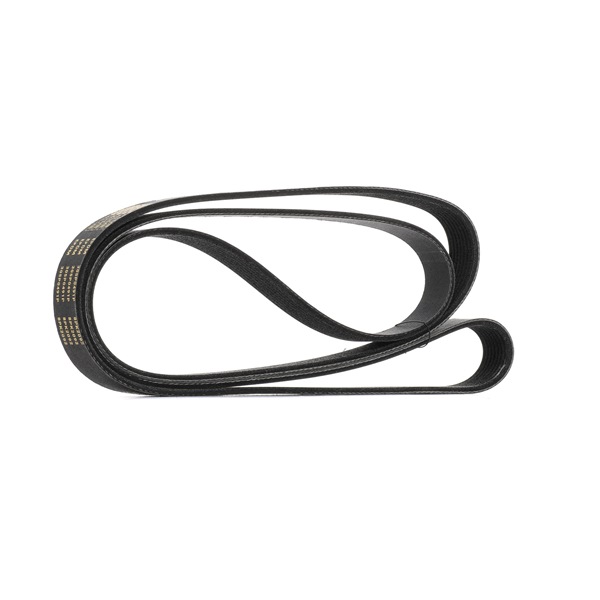 V-Ribbed Belt RIDEX 305P0491P 305P0491P - photo 1