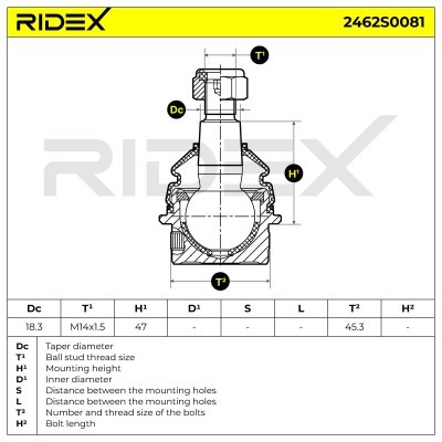 Ball Joint RIDEX 2462S0081 2462S0081 - photo 3