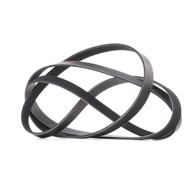 V-Ribbed Belt RIDEX 305P0216P 305P0216P - photo 1