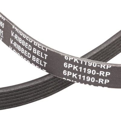 V-Ribbed Belt RIDEX 305P0501P 305P0501P - photo 5