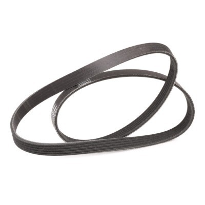 V-Ribbed Belt RIDEX 305P0111P 305P0111P - photo 3