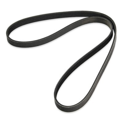 V-Ribbed Belt RIDEX 305P0170P 305P0170P - photo 3