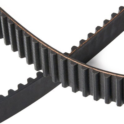 Timing Belt RIDEX 306T0116P 306T0116P - photo 5