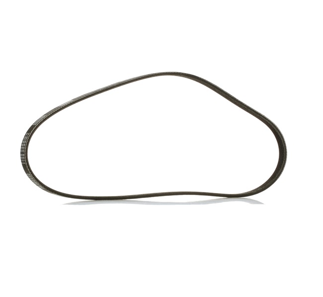 V-Ribbed Belt RIDEX 305P0553P 305P0553P - photo 1