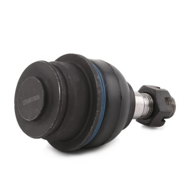 Ball Joint RIDEX 2462S0321 2462S0321 - photo 4