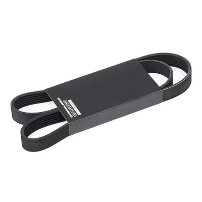 V-Ribbed Belt RIDEX 305P0428 305P0428 - photo 2