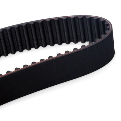 Timing Belt RIDEX 306T0045 306T0045 - photo 3