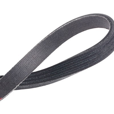 V-Ribbed Belt RIDEX 305P0502P 305P0502P - photo 5