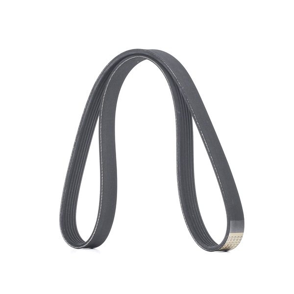 V-Ribbed Belt RIDEX 305P0484 305P0484 - photo 1