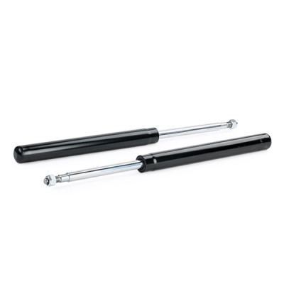 Shock Absorber RIDEX 854S2635 854S2635 - photo 4