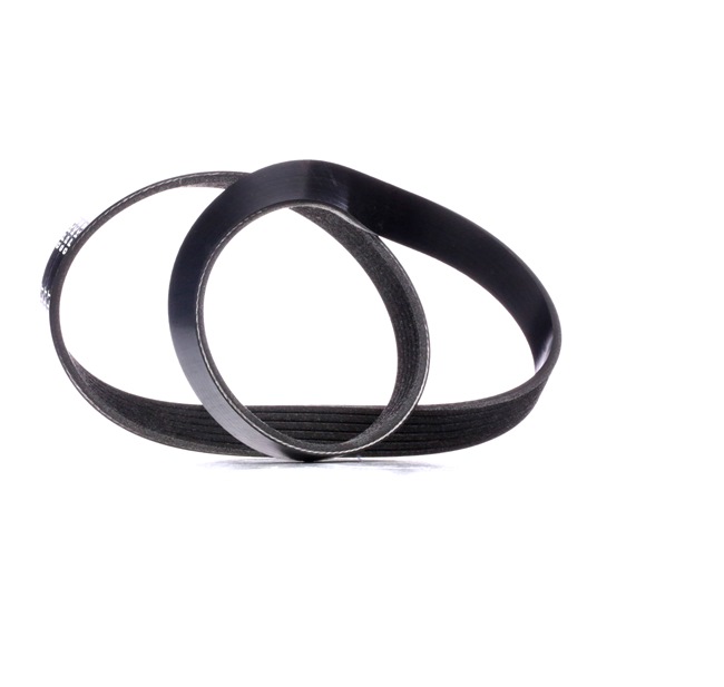 V-Ribbed Belt RIDEX 305P0049 305P0049 - photo 1