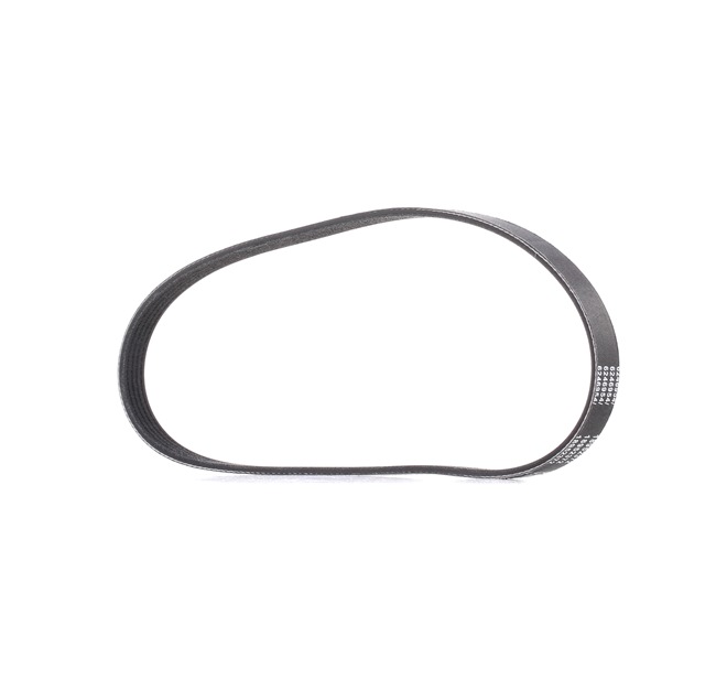 V-Ribbed Belt RIDEX 305P0024P 305P0024P - photo 1