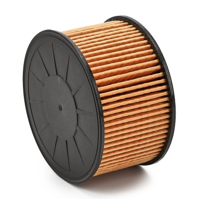Oil Filter RIDEX 7O0213P 7O0213P - photo 15