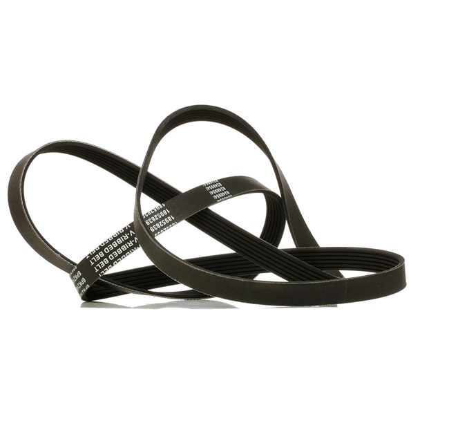 V-Ribbed Belt RIDEX 305P0178P 305P0178P - photo 1