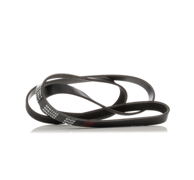 V-Ribbed Belt RIDEX 305P0121 305P0121 - photo 1