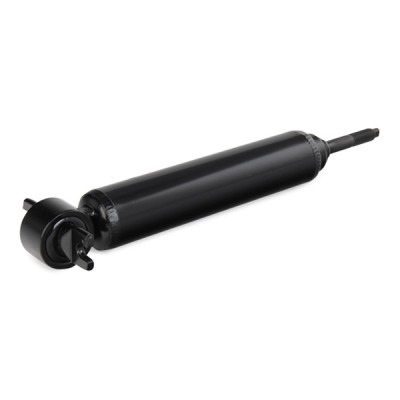 Shock Absorber RIDEX 854S18213 854S18213 - photo 5