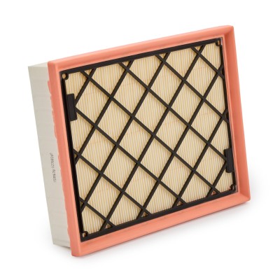 Air Filter RIDEX 8A0679 8A0679 - photo 8