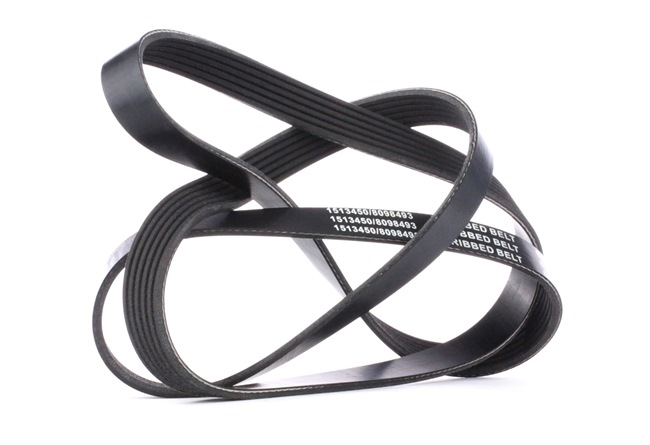 V-Ribbed Belt RIDEX 305P0084 305P0084 - photo 1