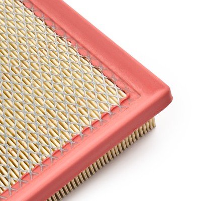 Air Filter RIDEX 8A0269 8A0269 - photo 10