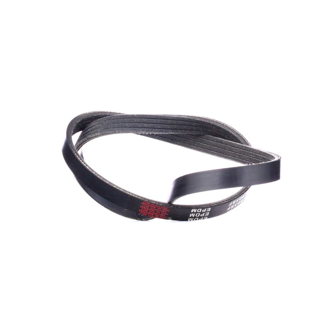 V-Ribbed Belt RIDEX 305P0309 305P0309 - photo 1