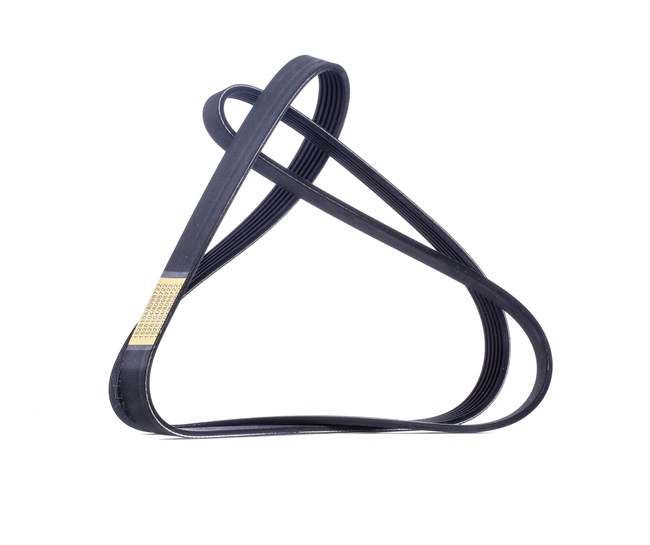V-Ribbed Belt RIDEX 305P0287 305P0287 - photo 1